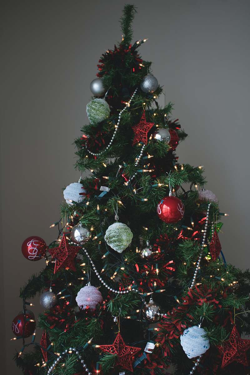 ornament Christmas tree and Christmas baubles plant